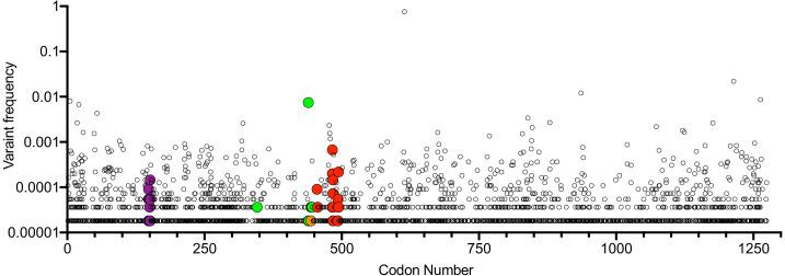 https://cdn.ncbi.nlm.nih.gov/pmc/blobs/6eaf/7723407/ffbc7f308308/elife-61312-fig8.jpg