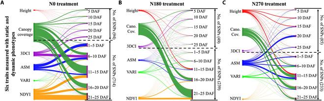 https://cdn.ncbi.nlm.nih.gov/pmc/blobs/6eb1/10750832/875ffff96e38/plantphenomics.0128.fig.006.jpg
