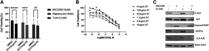 https://cdn.ncbi.nlm.nih.gov/pmc/blobs/6eb3/8891576/3a3f420c101e/fphar-13-816551-g003.jpg