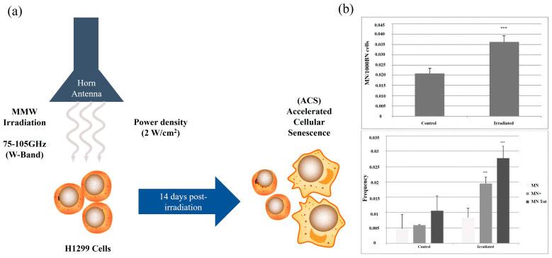 https://cdn.ncbi.nlm.nih.gov/pmc/blobs/6eb4/11354414/72e3ab445a3b/ijms-25-08638-g002.jpg