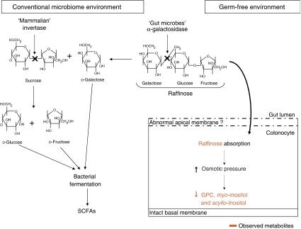 https://cdn.ncbi.nlm.nih.gov/pmc/blobs/6eb4/2583082/6be3518d2d7d/msb200856-f6.jpg