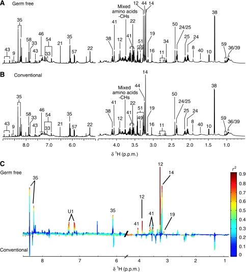 https://cdn.ncbi.nlm.nih.gov/pmc/blobs/6eb4/2583082/cec015ef0976/msb200856-f3.jpg