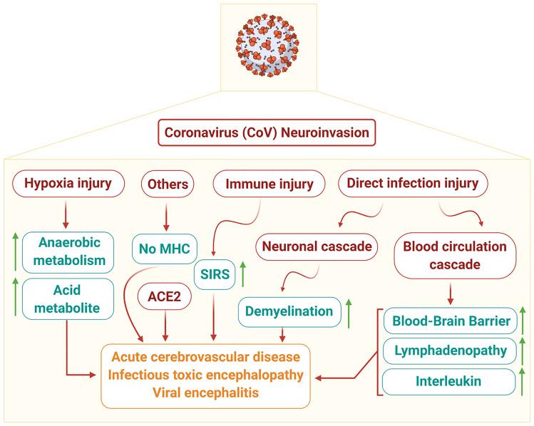 https://cdn.ncbi.nlm.nih.gov/pmc/blobs/6eb4/7814864/cd82e0ccf0d4/12031_2020_1767_Fig3_HTML.jpg