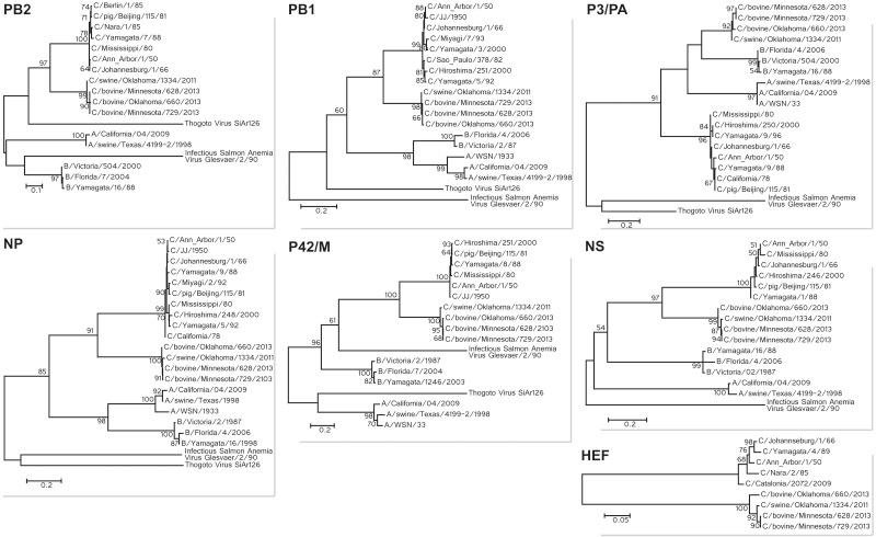 https://cdn.ncbi.nlm.nih.gov/pmc/blobs/6eb8/3958797/25754ad50b55/mbo0011417600003.jpg