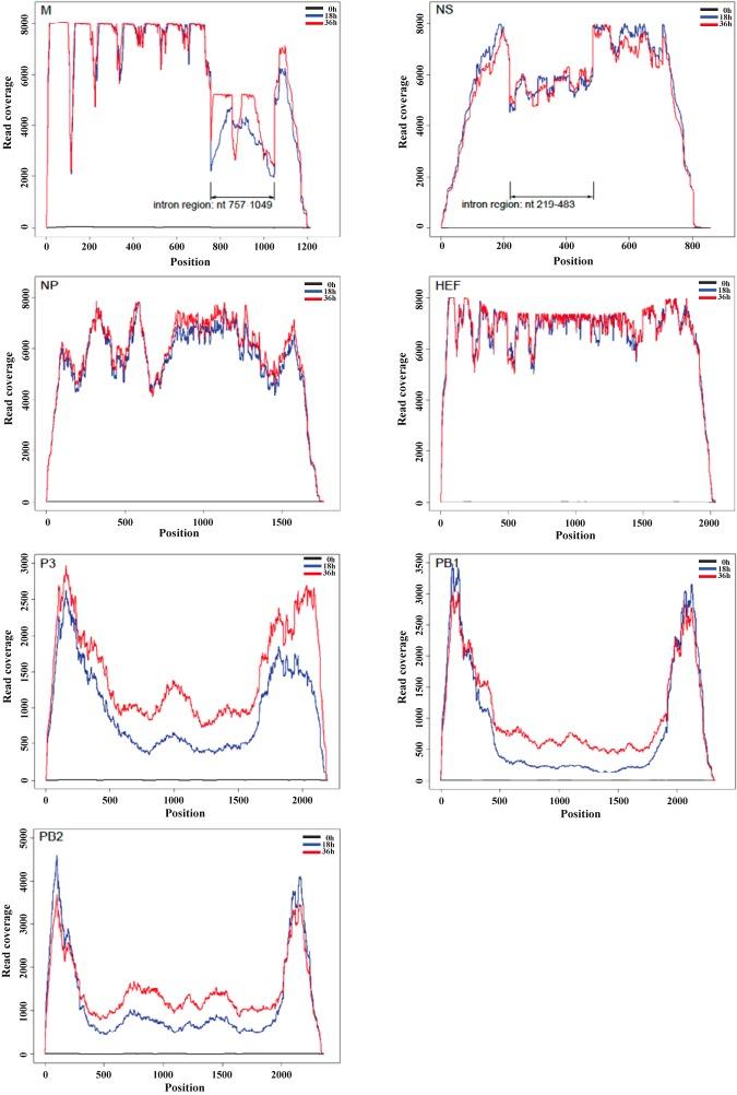 https://cdn.ncbi.nlm.nih.gov/pmc/blobs/6eb8/3958797/bba2f9296adb/mbo0011417600001.jpg