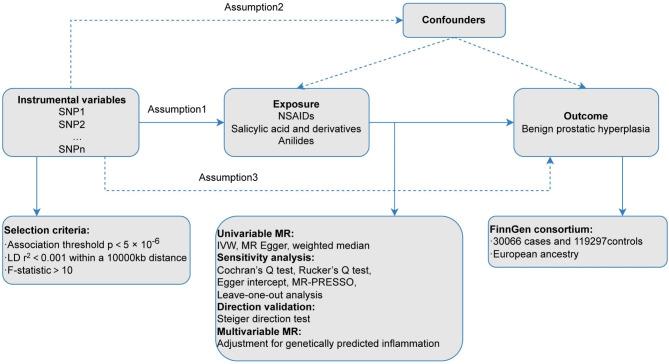 https://cdn.ncbi.nlm.nih.gov/pmc/blobs/6ebb/11956187/0dde58df7bb5/12920_2025_2128_Fig1_HTML.jpg