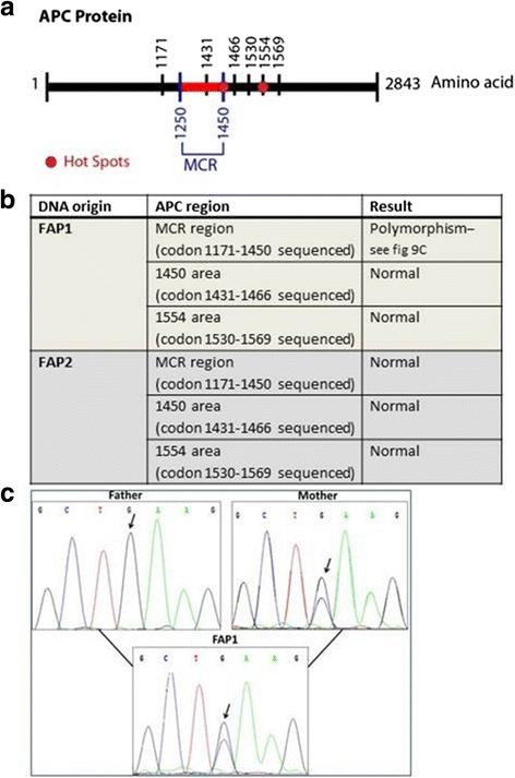 https://cdn.ncbi.nlm.nih.gov/pmc/blobs/6ebb/5180406/62cd1b21969e/12885_2016_2809_Fig6_HTML.jpg