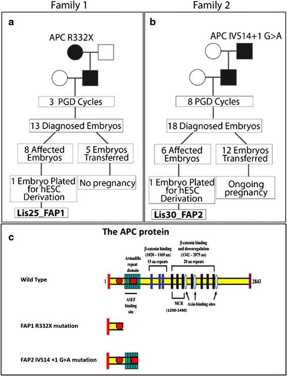 https://cdn.ncbi.nlm.nih.gov/pmc/blobs/6ebb/5180406/d42f15c9e37a/12885_2016_2809_Fig1_HTML.jpg