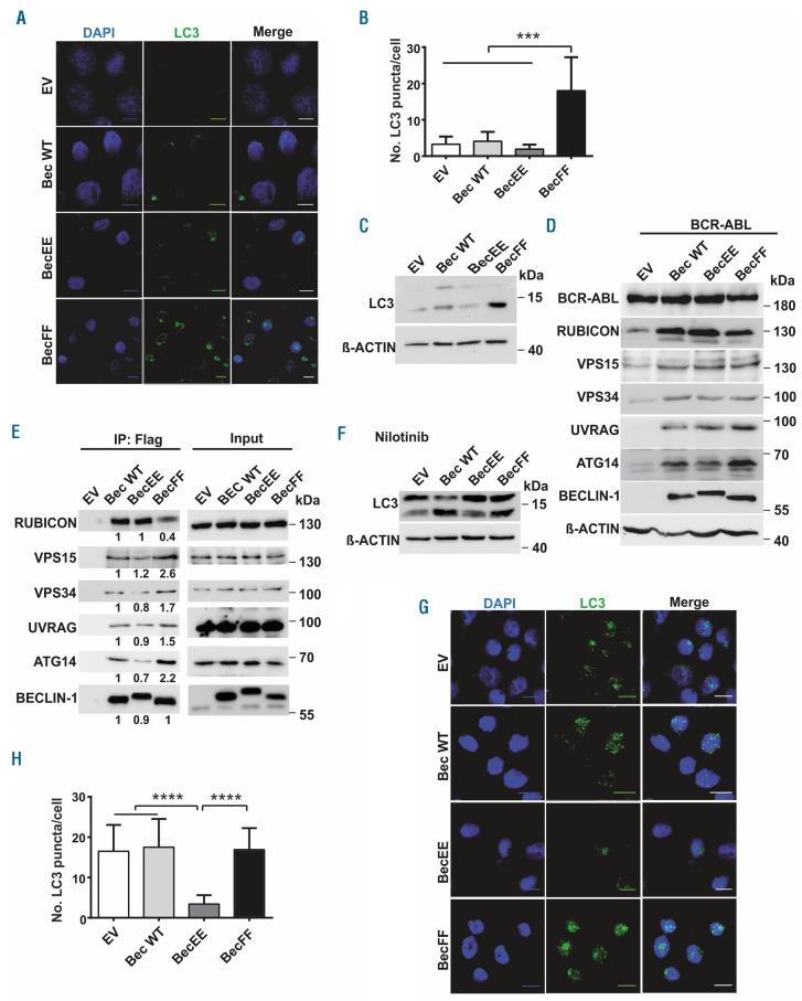 https://cdn.ncbi.nlm.nih.gov/pmc/blobs/6ebd/7193473/c80700e6fa15/1051285.fig4.jpg