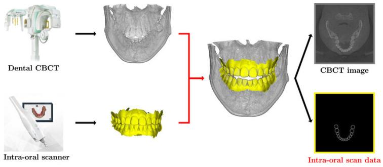 https://cdn.ncbi.nlm.nih.gov/pmc/blobs/6ebe/11995829/e2897a305bba/cmtr-18-00012-g003.jpg