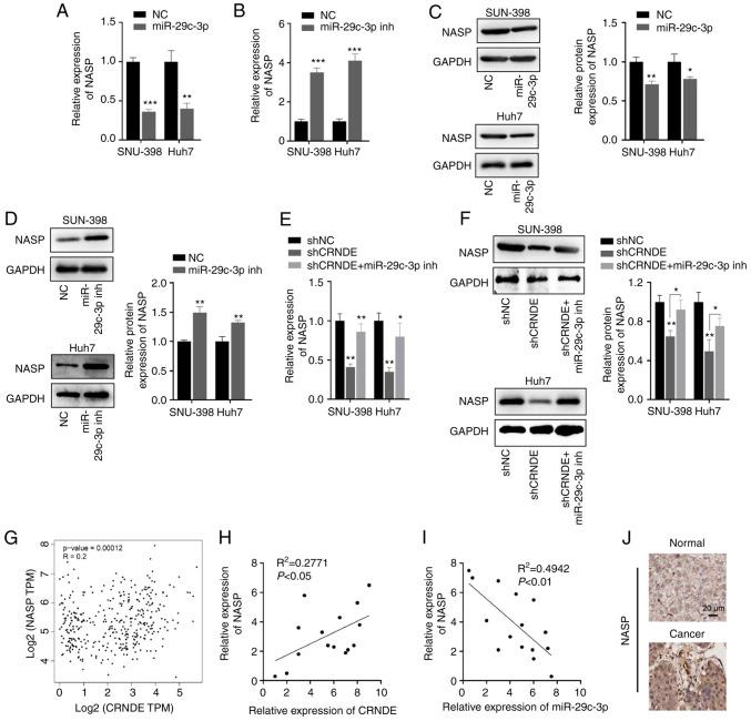 https://cdn.ncbi.nlm.nih.gov/pmc/blobs/6ec1/8524314/3724baf6cf81/or-46-06-08203-g04.jpg