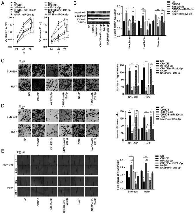 https://cdn.ncbi.nlm.nih.gov/pmc/blobs/6ec1/8524314/be51ed76f99a/or-46-06-08203-g05.jpg