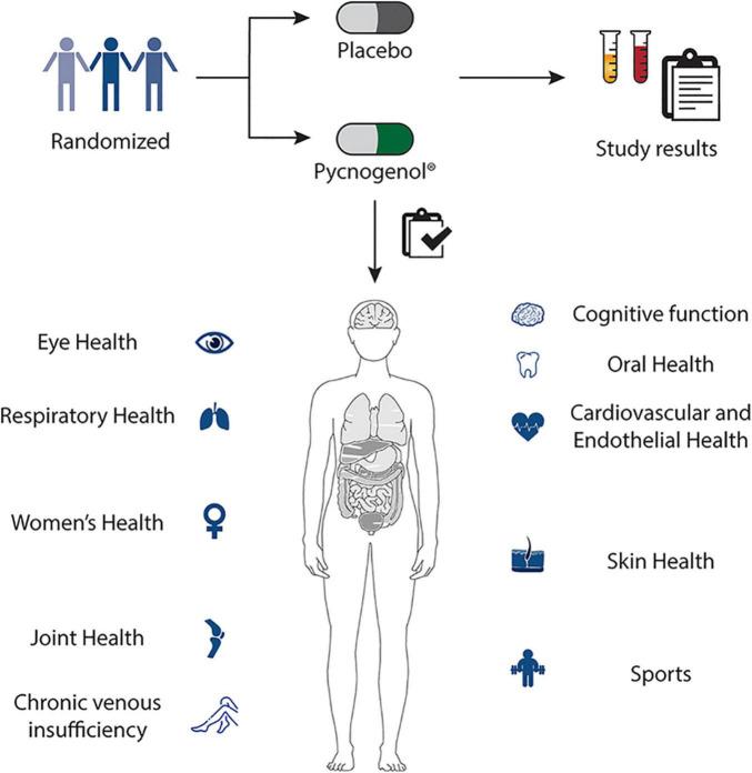 https://cdn.ncbi.nlm.nih.gov/pmc/blobs/6ec2/11096518/5e0f4d469e8f/fnut-11-1389374-g002.jpg