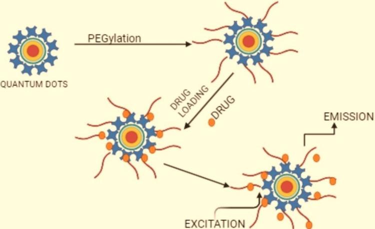 https://cdn.ncbi.nlm.nih.gov/pmc/blobs/6ec4/11424751/2f601a78b4ee/cureus-0016-00000067869-i04.jpg