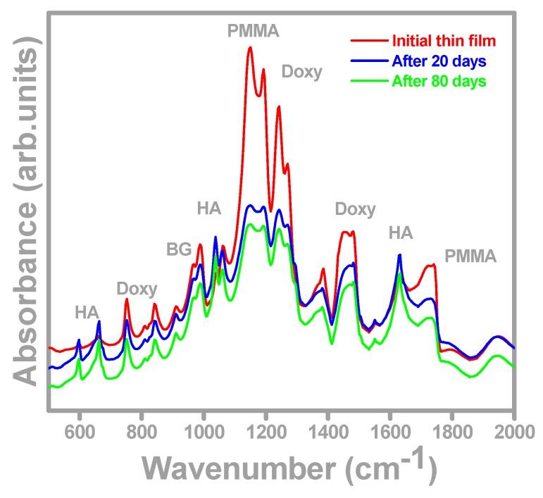 https://cdn.ncbi.nlm.nih.gov/pmc/blobs/6ec4/6274373/6a995fe120c0/molecules-21-00740-g003.jpg