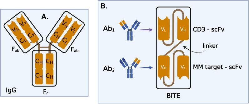 https://cdn.ncbi.nlm.nih.gov/pmc/blobs/6ec6/9171942/dee4c99b00dd/13045_2022_1296_Fig3_HTML.jpg