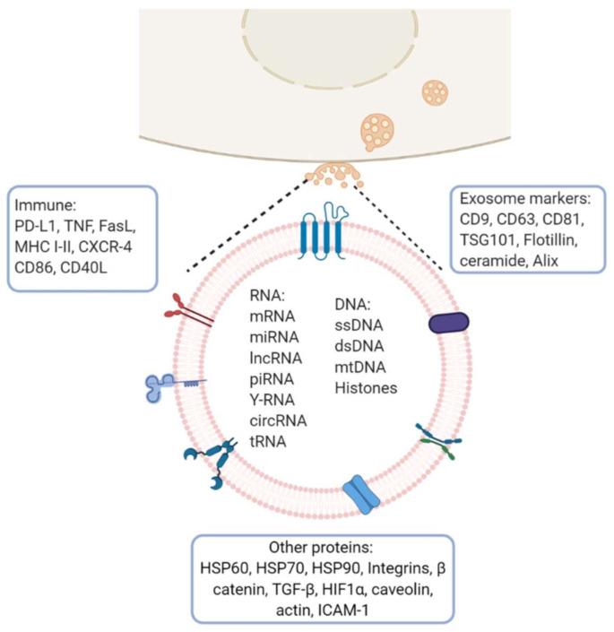 https://cdn.ncbi.nlm.nih.gov/pmc/blobs/6ec7/7922229/d60fbd76961e/cancers-13-00847-g002.jpg