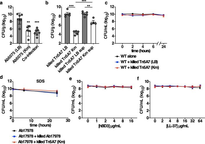 https://cdn.ncbi.nlm.nih.gov/pmc/blobs/6ecc/7094866/ec0fb1a01f93/ppat.1008374.g003.jpg