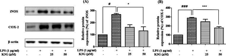 https://cdn.ncbi.nlm.nih.gov/pmc/blobs/6ece/9948190/207210589f77/ao2c06916_0005.jpg
