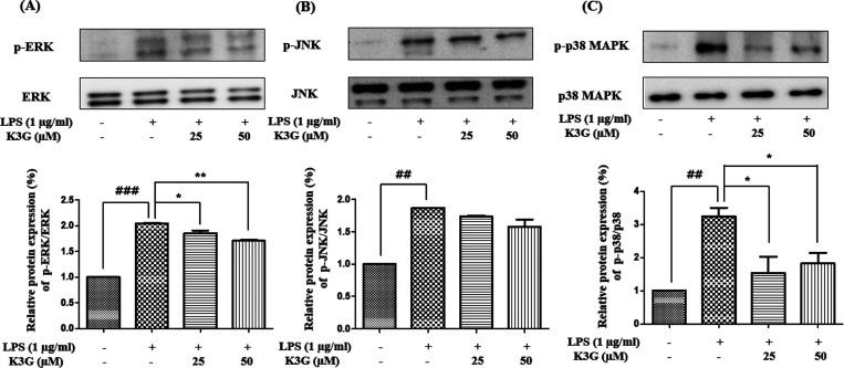 https://cdn.ncbi.nlm.nih.gov/pmc/blobs/6ece/9948190/491c4def2cd7/ao2c06916_0008.jpg