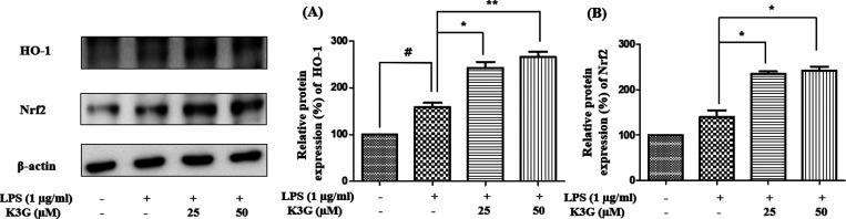 https://cdn.ncbi.nlm.nih.gov/pmc/blobs/6ece/9948190/7a3fd3498fbd/ao2c06916_0010.jpg