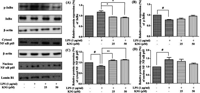 https://cdn.ncbi.nlm.nih.gov/pmc/blobs/6ece/9948190/90edd66960f1/ao2c06916_0009.jpg