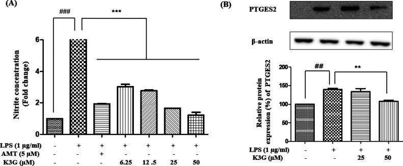 https://cdn.ncbi.nlm.nih.gov/pmc/blobs/6ece/9948190/af905538c7e3/ao2c06916_0006.jpg