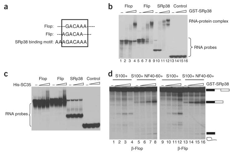 https://cdn.ncbi.nlm.nih.gov/pmc/blobs/6ed0/2668916/c962a68dd155/nihms69788f5.jpg
