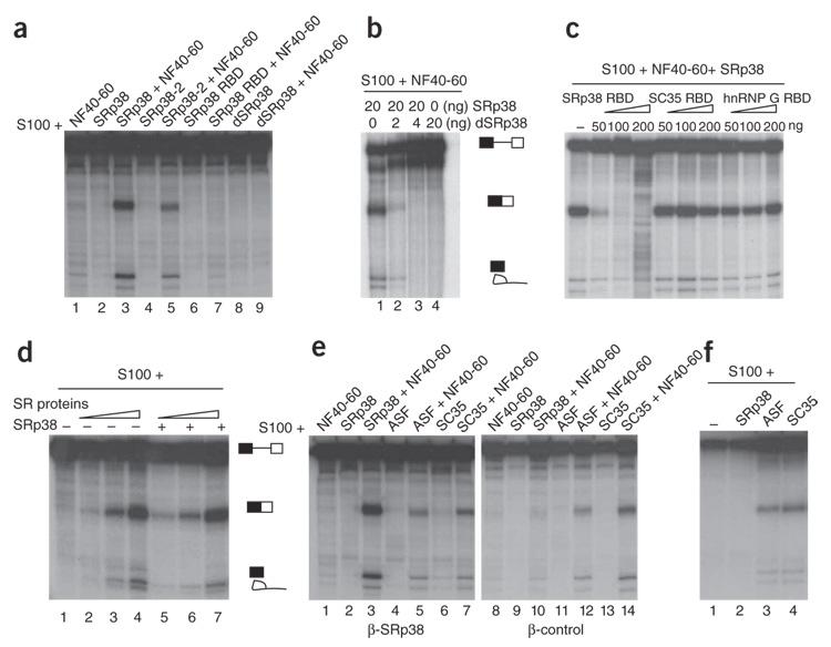 https://cdn.ncbi.nlm.nih.gov/pmc/blobs/6ed0/2668916/e47d5e5bedb0/nihms69788f2.jpg