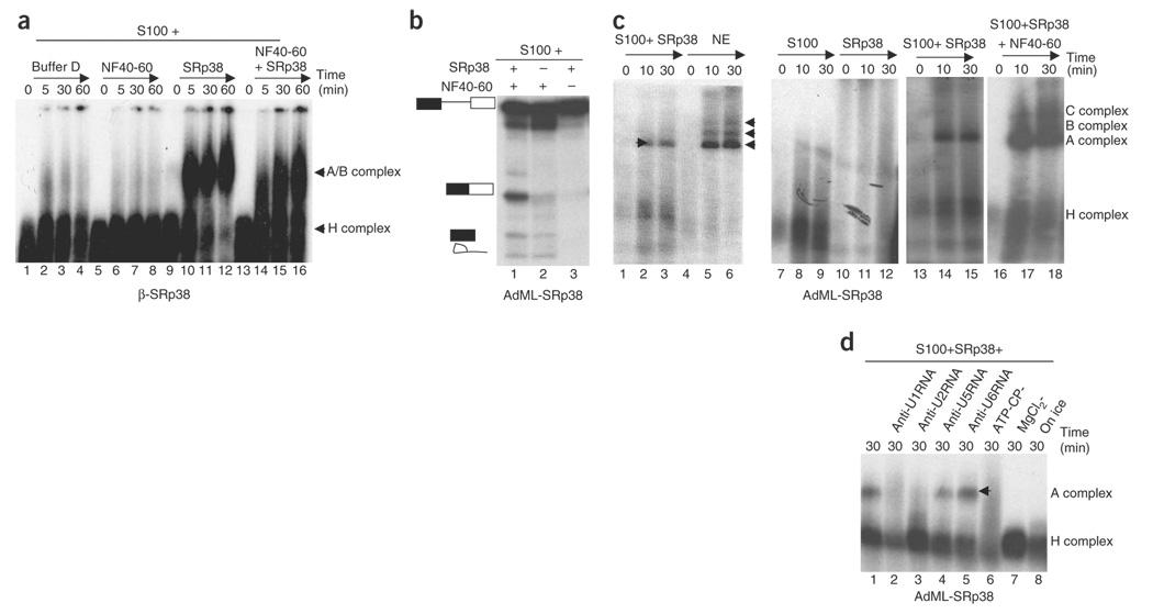 https://cdn.ncbi.nlm.nih.gov/pmc/blobs/6ed0/2668916/e708c0f31529/nihms69788f3.jpg