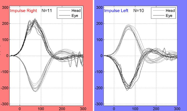 https://cdn.ncbi.nlm.nih.gov/pmc/blobs/6ed5/10661903/77c5da510381/jiao-19-5-388_f001.jpg