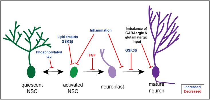 https://cdn.ncbi.nlm.nih.gov/pmc/blobs/6ed7/8072031/e074b64640b7/gr2.jpg