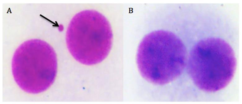 https://cdn.ncbi.nlm.nih.gov/pmc/blobs/6ed8/7277666/596df97cc655/biomolecules-10-00737-g008.jpg