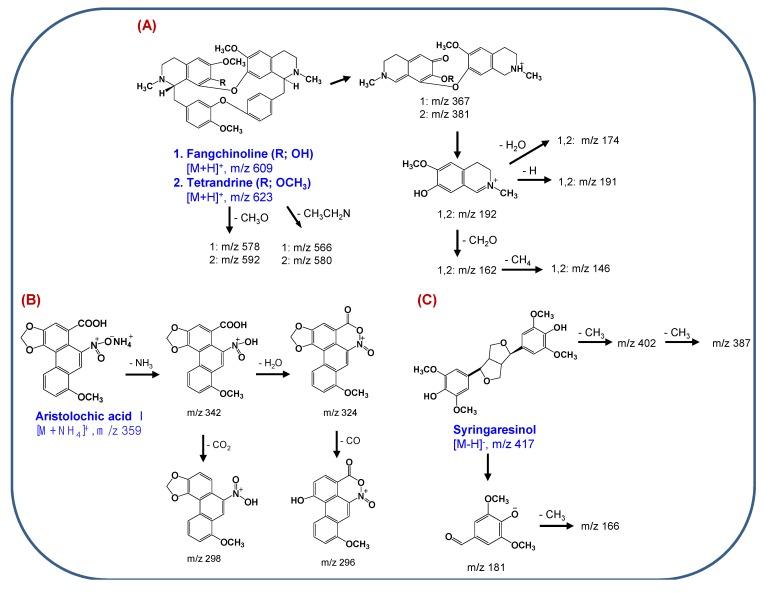 https://cdn.ncbi.nlm.nih.gov/pmc/blobs/6eda/6269714/ee05508a78b9/molecules-18-05235-g006.jpg