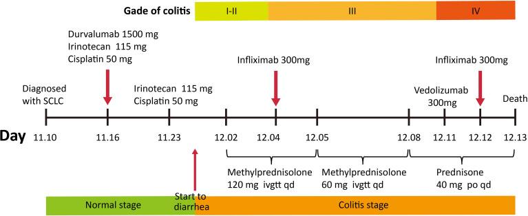 https://cdn.ncbi.nlm.nih.gov/pmc/blobs/6edb/9259980/f75cc6aa0a2e/fonc-12-925964-g003.jpg