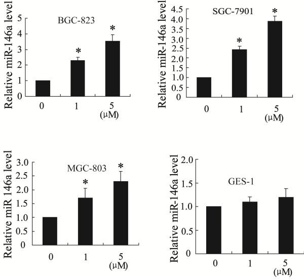 https://cdn.ncbi.nlm.nih.gov/pmc/blobs/6edc/3672015/5921922f8ba9/1475-2867-13-50-2.jpg