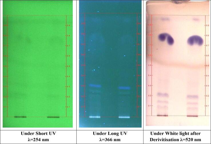 https://cdn.ncbi.nlm.nih.gov/pmc/blobs/6ede/10276281/9f80a09a6636/gr1.jpg