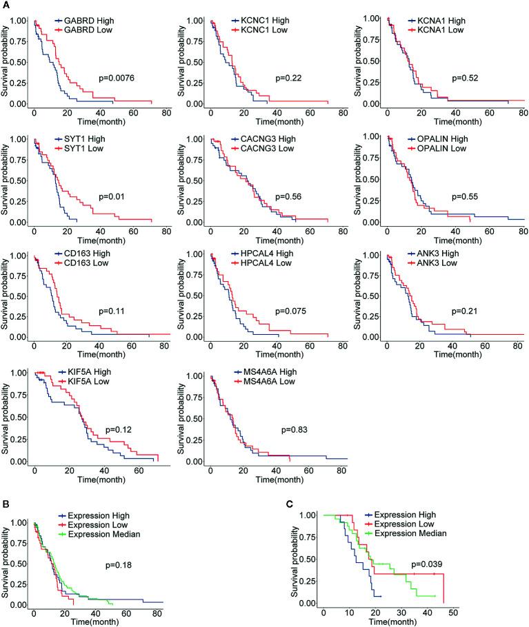https://cdn.ncbi.nlm.nih.gov/pmc/blobs/6edf/7943725/fc1b95309494/fonc-10-615976-g006.jpg