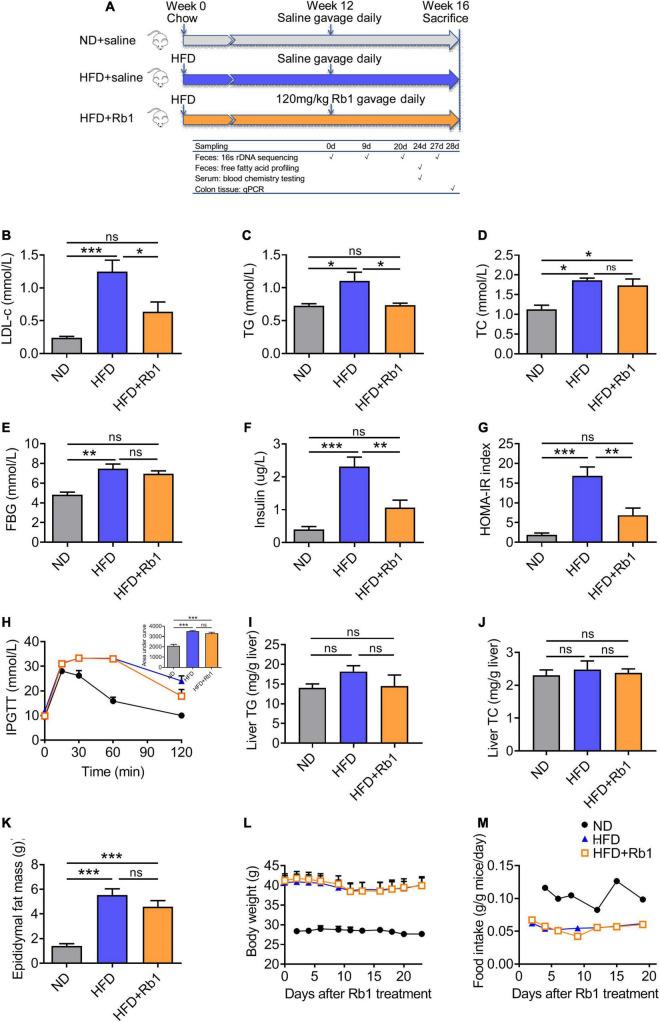 https://cdn.ncbi.nlm.nih.gov/pmc/blobs/6edf/9062662/08be835dd518/fmicb-13-826487-g001.jpg