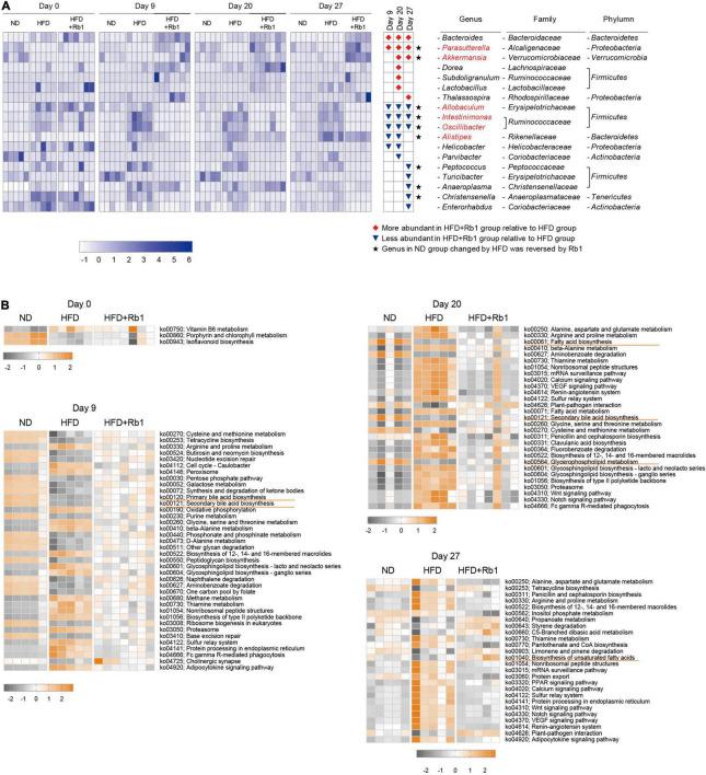 https://cdn.ncbi.nlm.nih.gov/pmc/blobs/6edf/9062662/62f5fbb5834e/fmicb-13-826487-g004.jpg