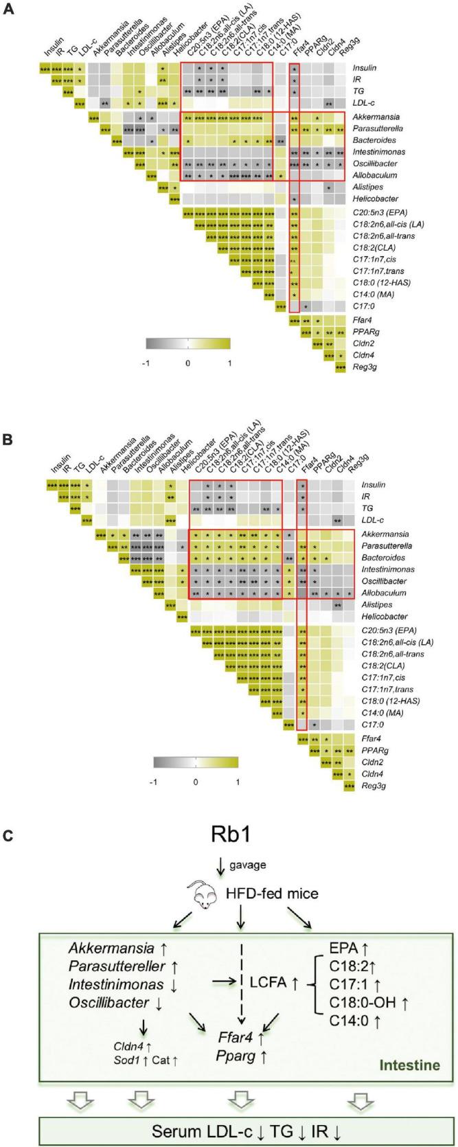 https://cdn.ncbi.nlm.nih.gov/pmc/blobs/6edf/9062662/635abe1895c7/fmicb-13-826487-g007.jpg