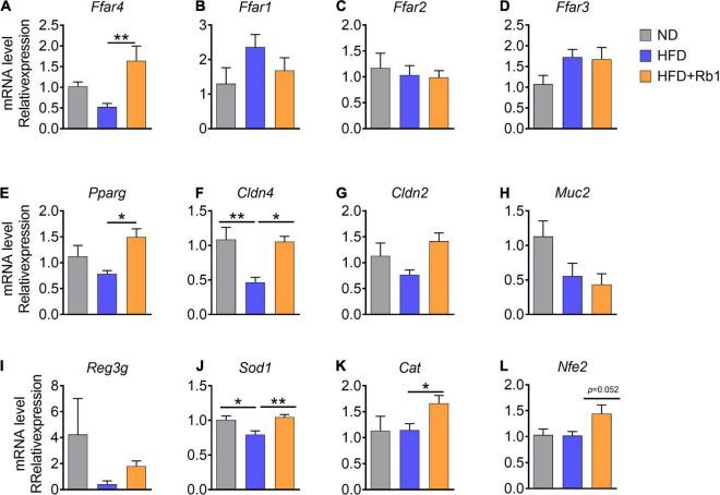 https://cdn.ncbi.nlm.nih.gov/pmc/blobs/6edf/9062662/80425de48a19/fmicb-13-826487-g006.jpg