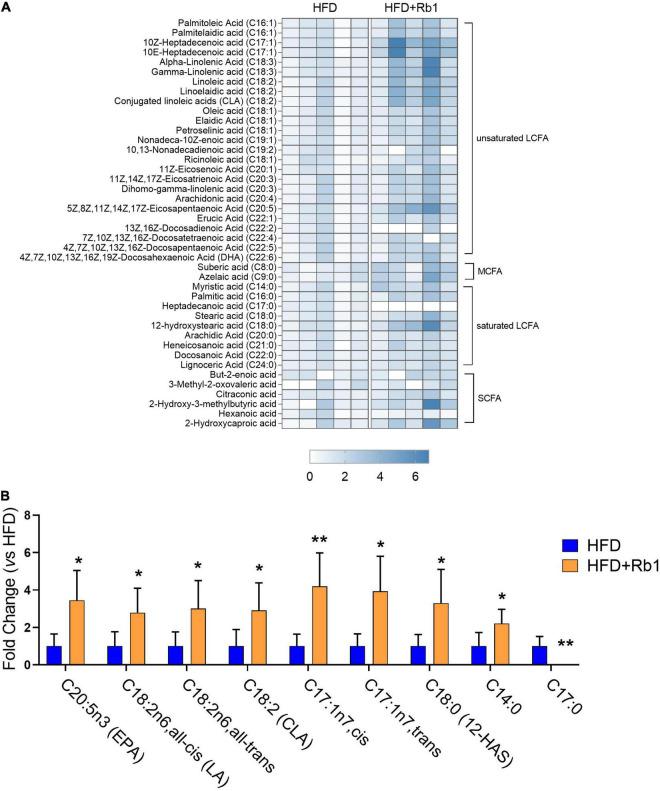https://cdn.ncbi.nlm.nih.gov/pmc/blobs/6edf/9062662/a244d8137656/fmicb-13-826487-g005.jpg