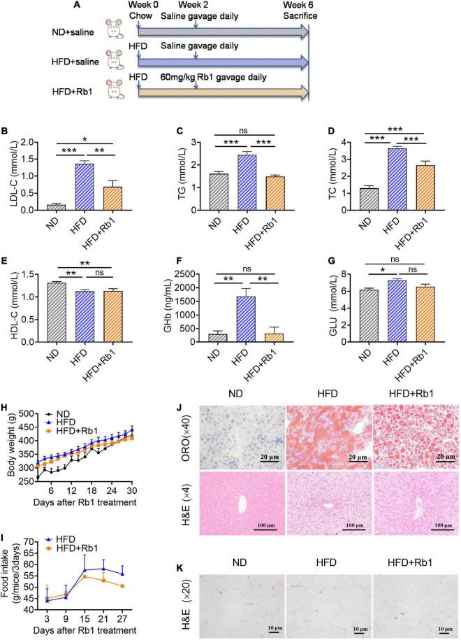 https://cdn.ncbi.nlm.nih.gov/pmc/blobs/6edf/9062662/dbba6801cdbc/fmicb-13-826487-g002.jpg
