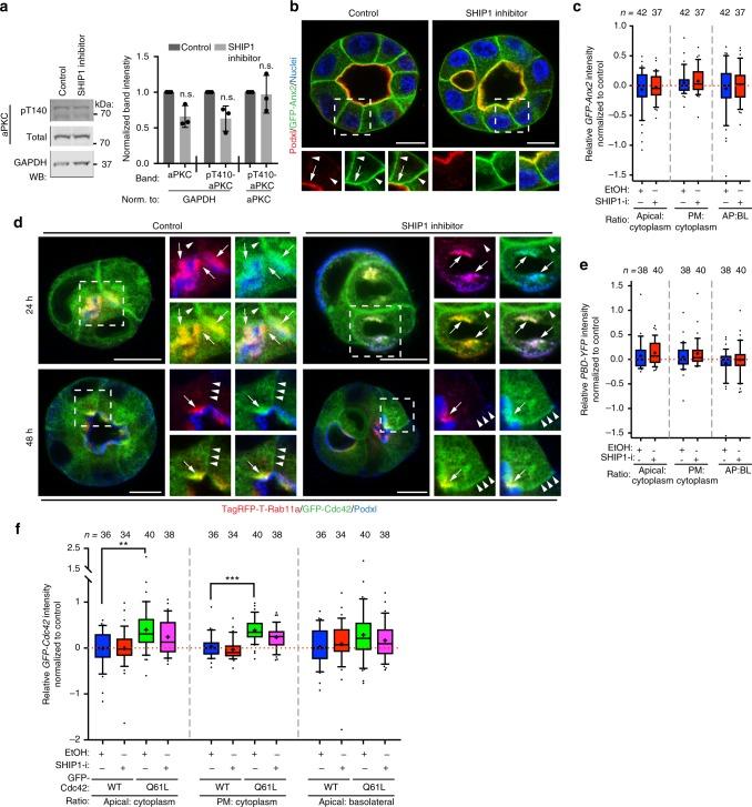 https://cdn.ncbi.nlm.nih.gov/pmc/blobs/6ee0/6262019/1dcfe9a75518/41467_2018_7464_Fig8_HTML.jpg