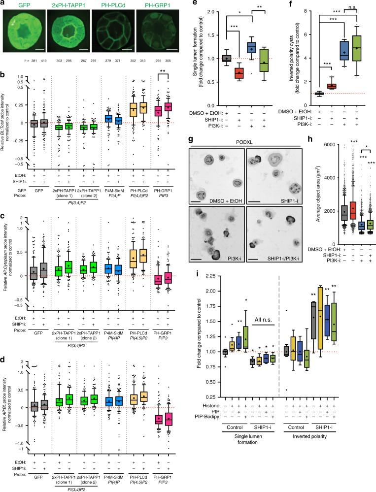 https://cdn.ncbi.nlm.nih.gov/pmc/blobs/6ee0/6262019/689032c6dce0/41467_2018_7464_Fig5_HTML.jpg