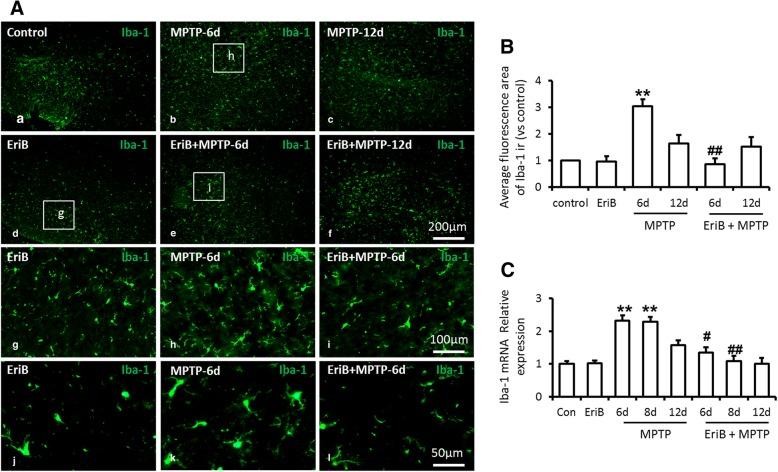 https://cdn.ncbi.nlm.nih.gov/pmc/blobs/6ee0/6299497/e90ac64e2501/13041_2018_418_Fig2_HTML.jpg