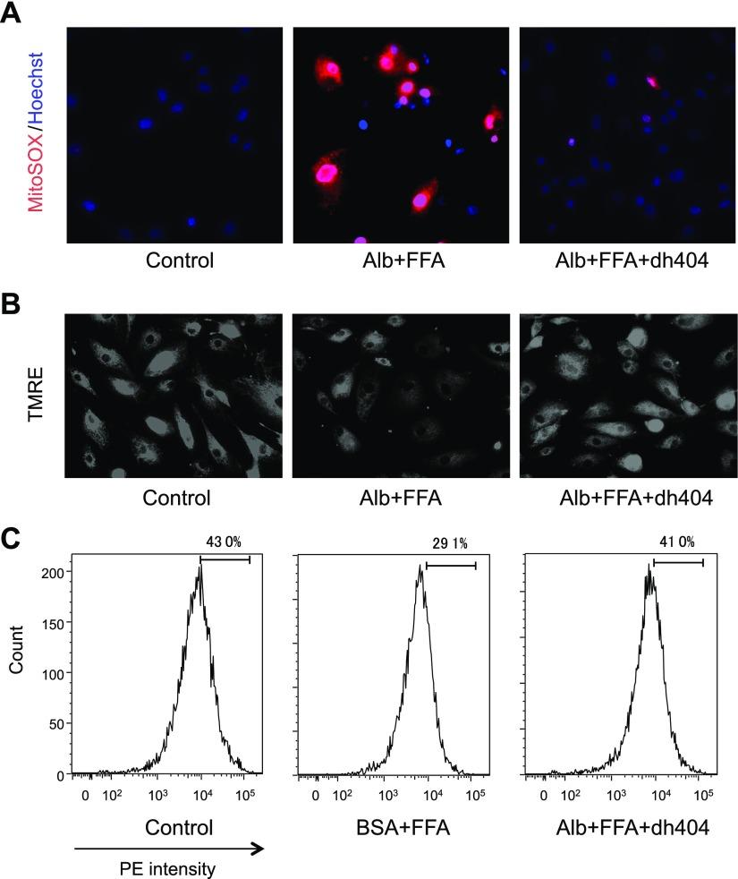 https://cdn.ncbi.nlm.nih.gov/pmc/blobs/6ee1/6902727/919ed5b45206/fj.201900217Rf9.jpg