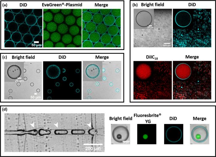 https://cdn.ncbi.nlm.nih.gov/pmc/blobs/6ee1/9814093/2cf7a8bdab81/42004_2021_530_Fig5_HTML.jpg