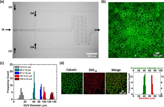 https://cdn.ncbi.nlm.nih.gov/pmc/blobs/6ee1/9814093/d7d0a715caff/42004_2021_530_Fig2_HTML.jpg